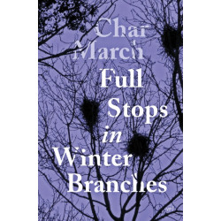 Full Stops in Winter Branches