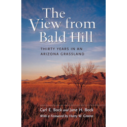 The View from Bald Hill: Thirty Years in an Arizona Grassland