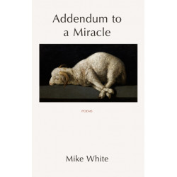 Addendum to a Miracle