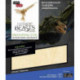 IncrediBuilds: Fantastic Beasts and Where to Find Them: Swooping Evil 3D Wood Model and Booklet