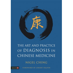 The Art and Practice of Diagnosis in Chinese Medicine