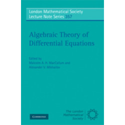 Algebraic Theory of Differential Equations