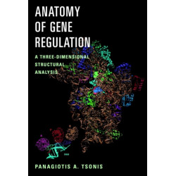 Anatomy of Gene Regulation: A Three-Dimensional Structural Analysis