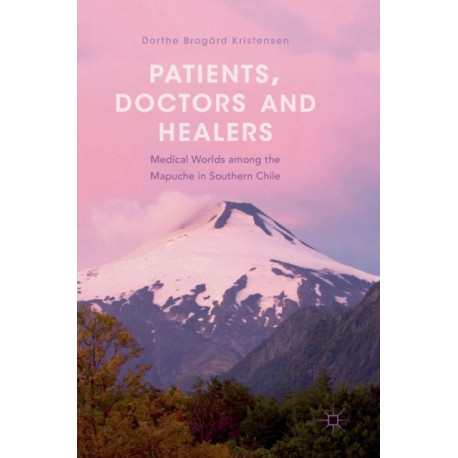 Patients, Doctors and Healers: Medical Worlds among the Mapuche in Southern Chile