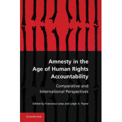 Amnesty in the Age of Human Rights Accountability: Comparative and International Perspectives