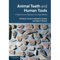 Animal Teeth and Human Tools: A Taphonomic Odyssey in Ice Age Siberia