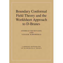 Boundary Conformal Field Theory and the Worldsheet Approach to D-Branes