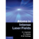 Atoms in Intense Laser Fields