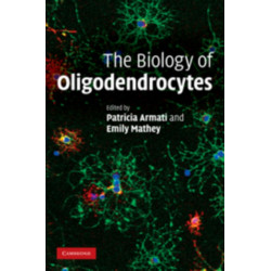 The Biology of Oligodendrocytes
