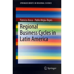 Regional Business Cycles in Latin America: A Sub-National Synchronization Study