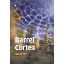 Barrel Cortex