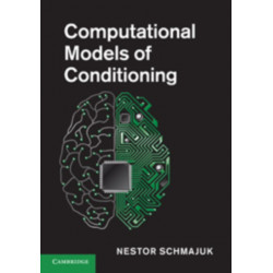 Computational Models of Conditioning