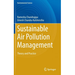 Sustainable Air Pollution Management: Theory and Practice