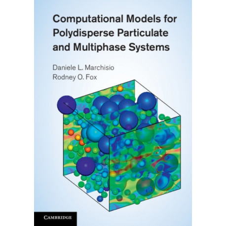 Computational Models for Polydisperse Particulate and Multiphase Systems