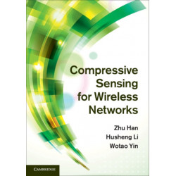 Compressive Sensing for Wireless Networks