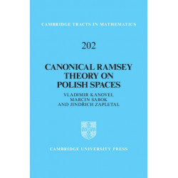 Canonical Ramsey Theory on Polish Spaces