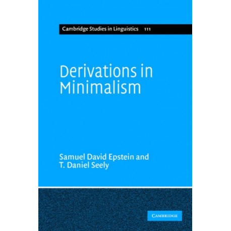 Derivations in Minimalism
