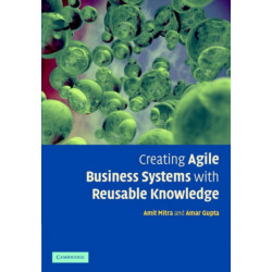 Creating Agile Business Systems with Reusable Knowledge