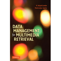 Data Management for Multimedia Retrieval