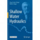 Shallow Water Hydraulics