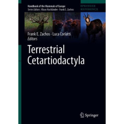 Terrestrial Cetartiodactyla