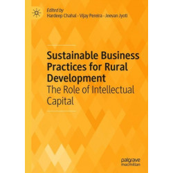 Sustainable Business Practices for Rural Development: The Role of Intellectual Capital