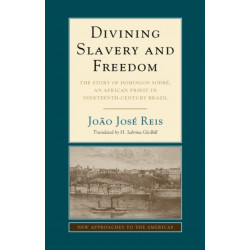 Divining Slavery and Freedom: The Story of Domingos Sodre, an African Priest in Nineteenth-Century Brazil