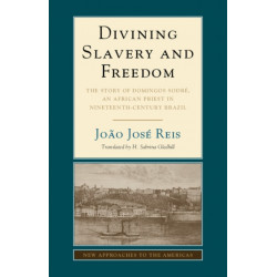 Divining Slavery and Freedom: The Story of Domingos Sodre, an African Priest in Nineteenth-Century Brazil