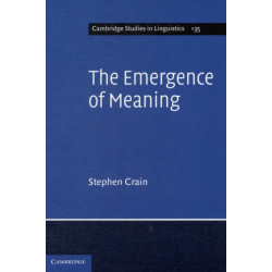 The Emergence of Meaning