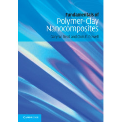 Fundamentals of Polymer-Clay Nanocomposites