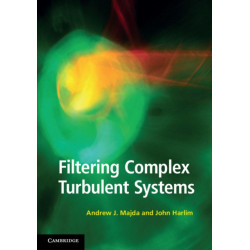 Filtering Complex Turbulent Systems