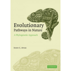 Evolutionary Pathways in Nature: A Phylogenetic Approach
