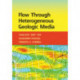 Flow through Heterogeneous Geologic Media