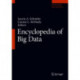 Encyclopedia of Big Data