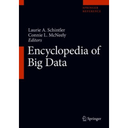 Encyclopedia of Big Data