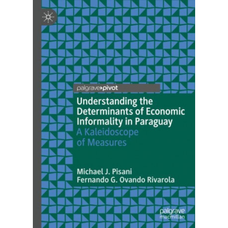 Understanding the Determinants of Economic Informality in Paraguay: A Kaleidoscope of Measures