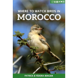 Where to Watch Birds in Morocco