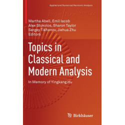 Topics in Classical and Modern Analysis: In Memory of Yingkang Hu