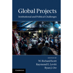 Global Projects: Institutional and Political Challenges