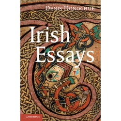 Irish Essays
