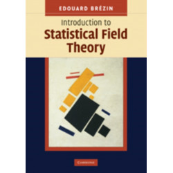 Introduction to Statistical Field Theory