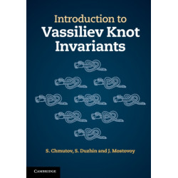 Introduction to Vassiliev Knot Invariants