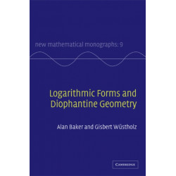Logarithmic Forms and Diophantine Geometry