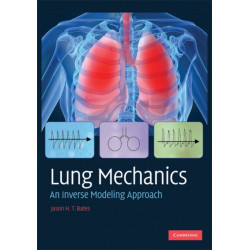 Lung Mechanics: An Inverse Modeling Approach