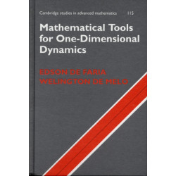 Mathematical Tools for One-Dimensional Dynamics