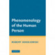Phenomenology of the Human Person