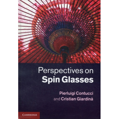 Perspectives on Spin Glasses