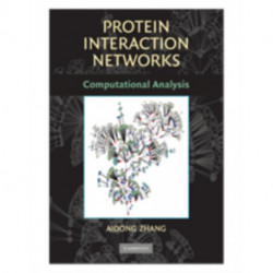 Protein Interaction Networks: Computational Analysis