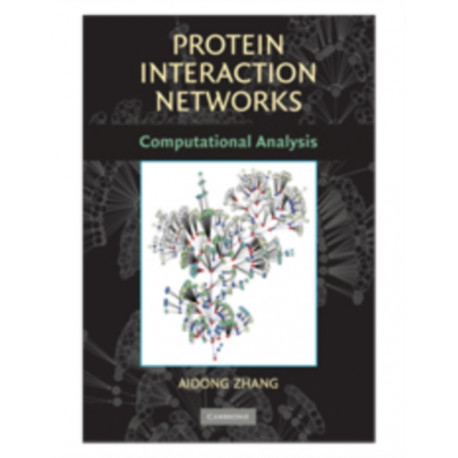 Protein Interaction Networks: Computational Analysis