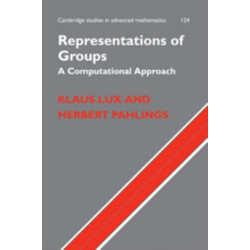 Representations of Groups: A Computational Approach